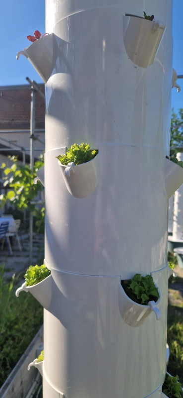 Tower Farm